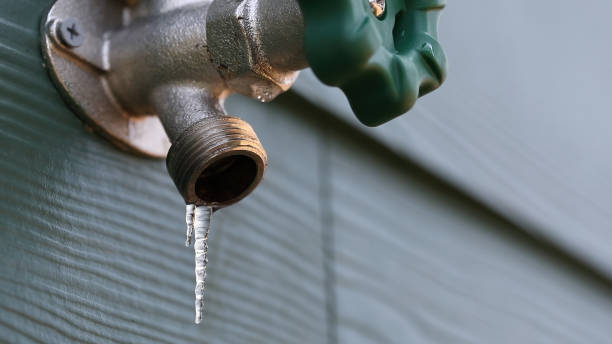 Best Commercial Plumbing Services  in Dayton, IN